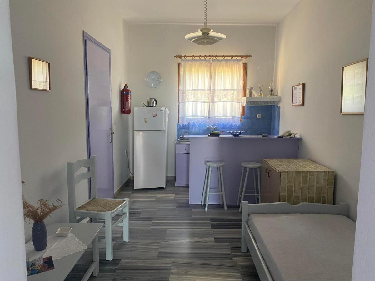 Stelios Zalonis Apartments Tínos Eksteriør bilde