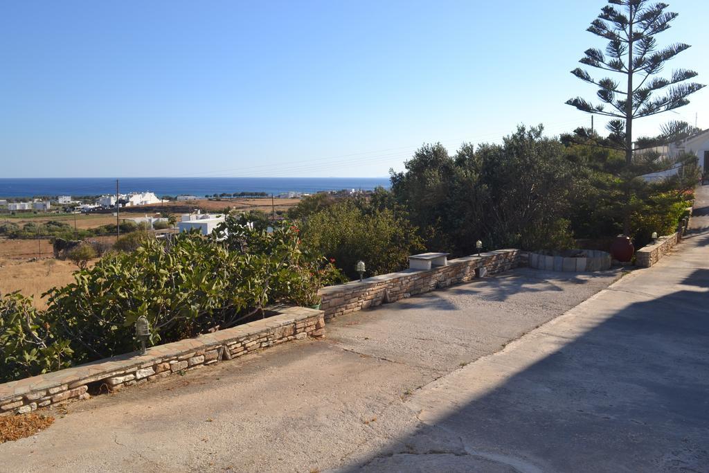 Stelios Zalonis Apartments Tínos Eksteriør bilde